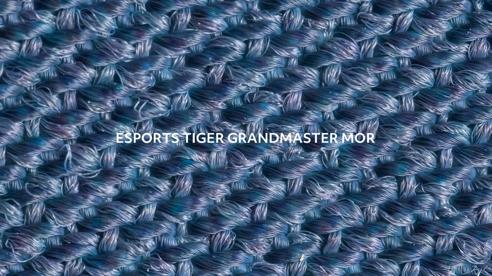 esports tiger grand master mor マクロ撮影